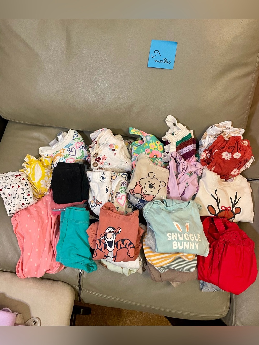 Mixed Baby girls Clothing Bundle(6-9months)